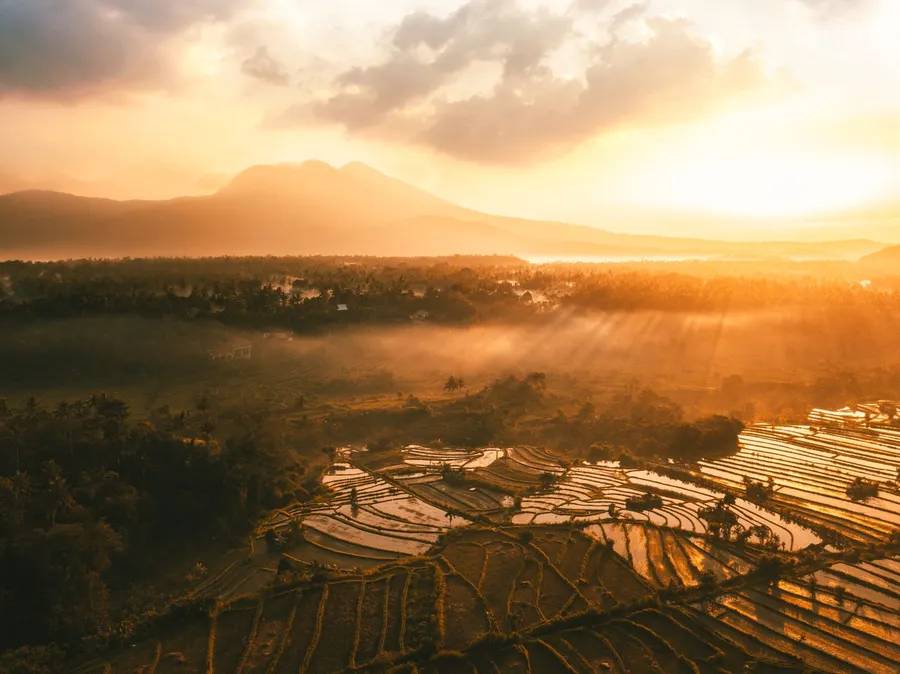 Aerial view of Bali rice terraces
